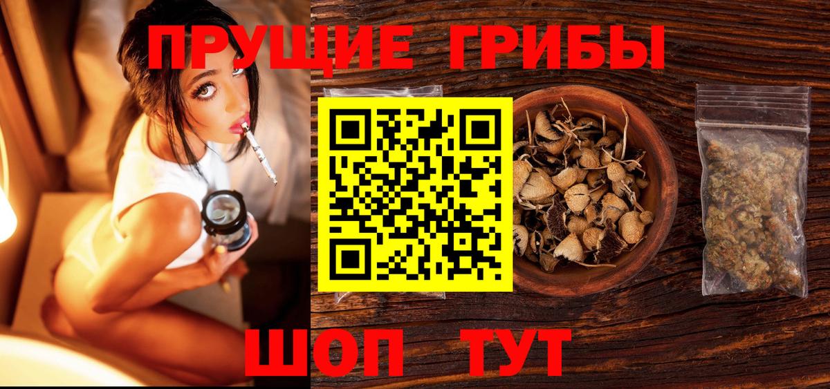 Галлюциногенные грибы Psilocybe Большой Камень
