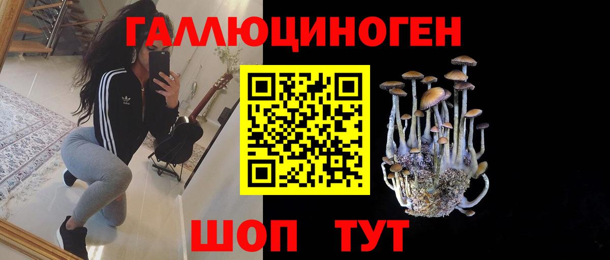 Большой Камень  Псилоцибиновые грибы Magic Shrooms  Вход с VPN 